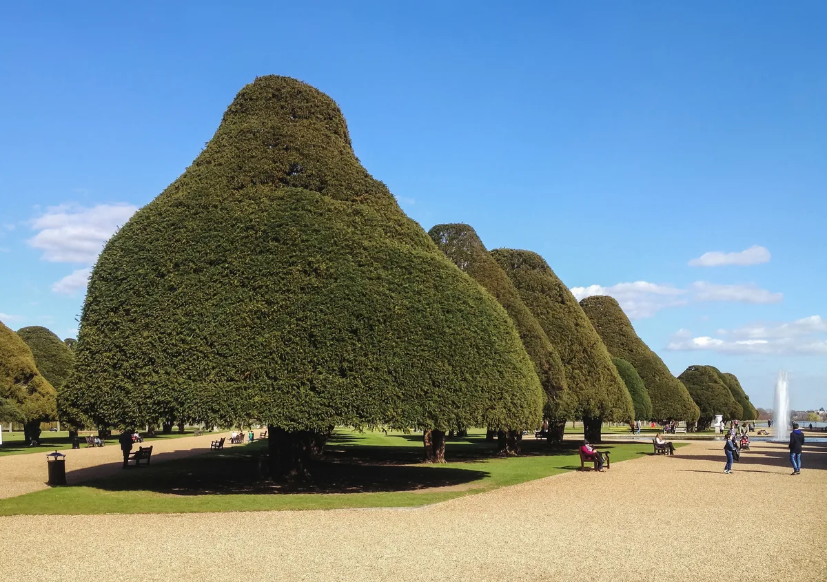 De Tudorfaçade van Hampton Court Palace met de rode bakstenen en de sierlijke torens weerspiegeld in de vijver
