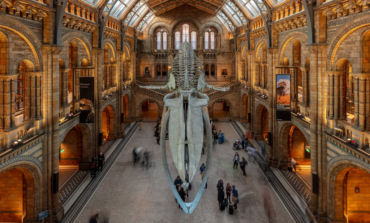 De gotische voorgevel van het Natural History Museum in South Kensington, Londen